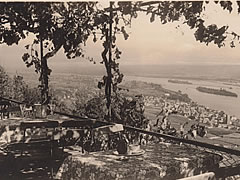 Das Rebenhaus in Rüdesheim